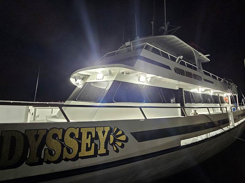 odyssey_2.jpg odyssey_2.jpg